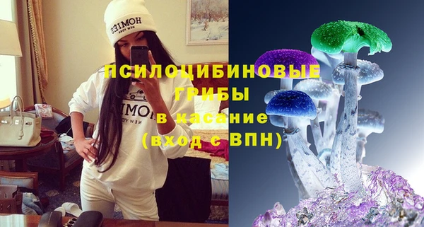 спиды Алзамай