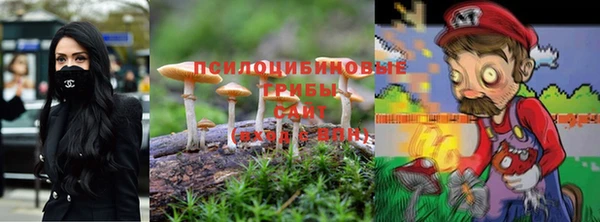 мдпв Армянск